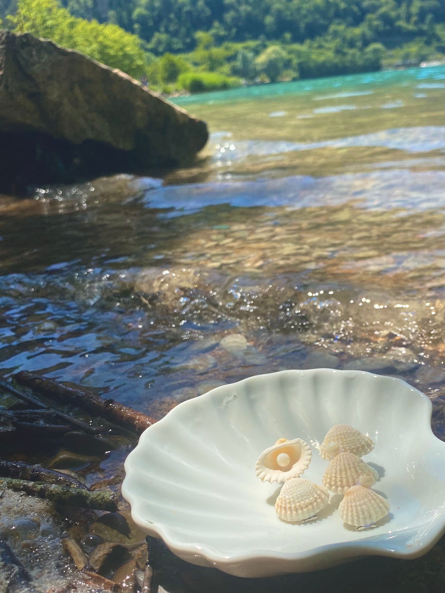 Les trésors de l’océan 🐚